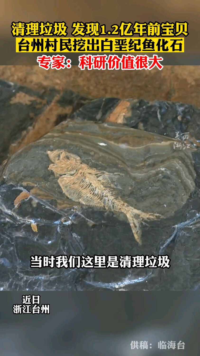 挖到宝了!台州临海村民挖出1.2亿年前鱼化石,村民:看着活的一样!