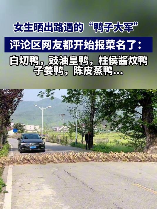 女生路遇“鸭子大军”评论区网友都开始报菜名了