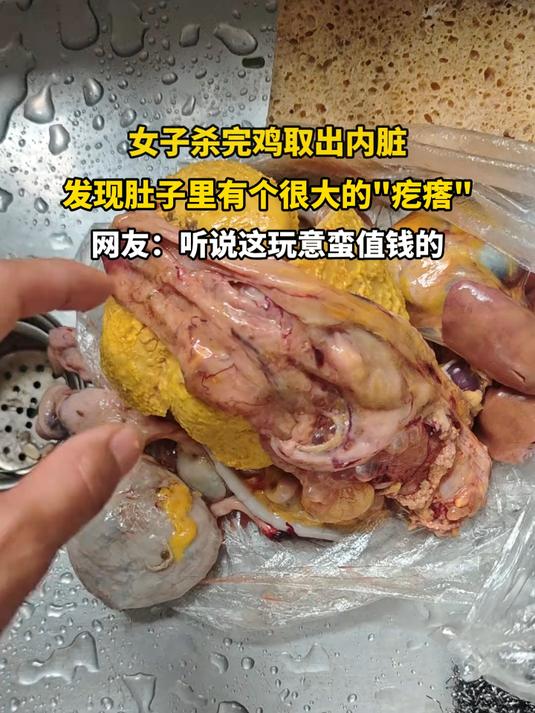 女子杀完鸡取出内脏,发现肚子里有个很大的疙瘩