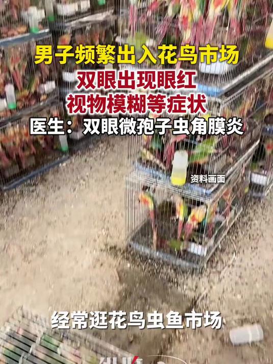 武汉一男子经常逛花鸟虫鱼市场