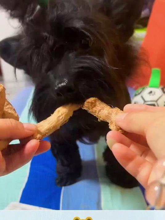 猫咪零食大推荐:味当家冻干鸡脖,好吃到飞起!