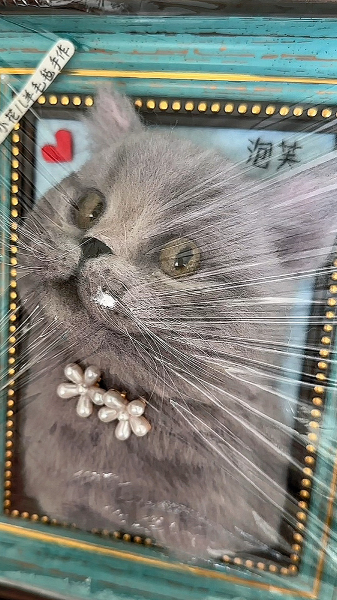送泡芙回家～～～这个不是标本是手工做的羊毛毡仿真宠物肖像哦蓝猫猫咪萌宠