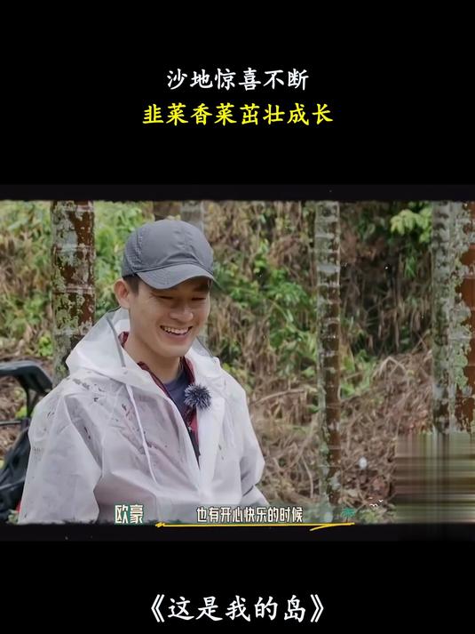 这是我的岛:沙地惊喜不断,韭菜香菜茁壮成长