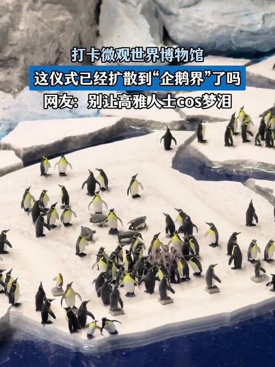 微观世界博物馆,到“企鹅界”了,网友:别让高雅人士cos梦泪