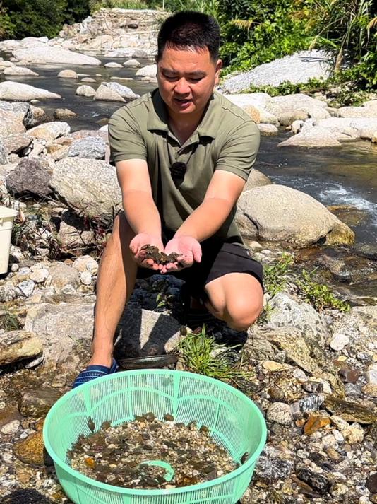 今天买了一批本地甲鱼苗放流，希望能恢复这个物种