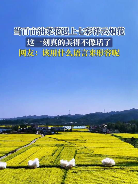 当百亩油菜花遇上七彩祥云烟花,这一刻真的美的不像话了,网友:该用什么语言来形容呢