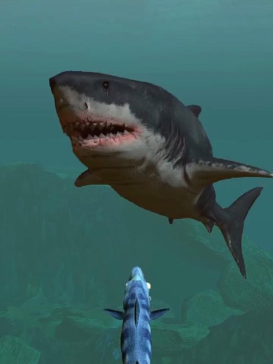 3D版小鱼大战巨齿鲨
