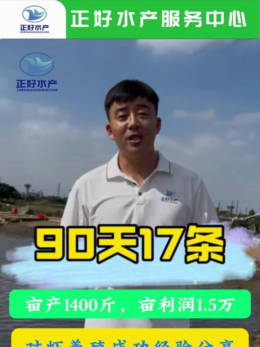 90天17条，亩产1400斤！南美白对虾养殖成功案例分享