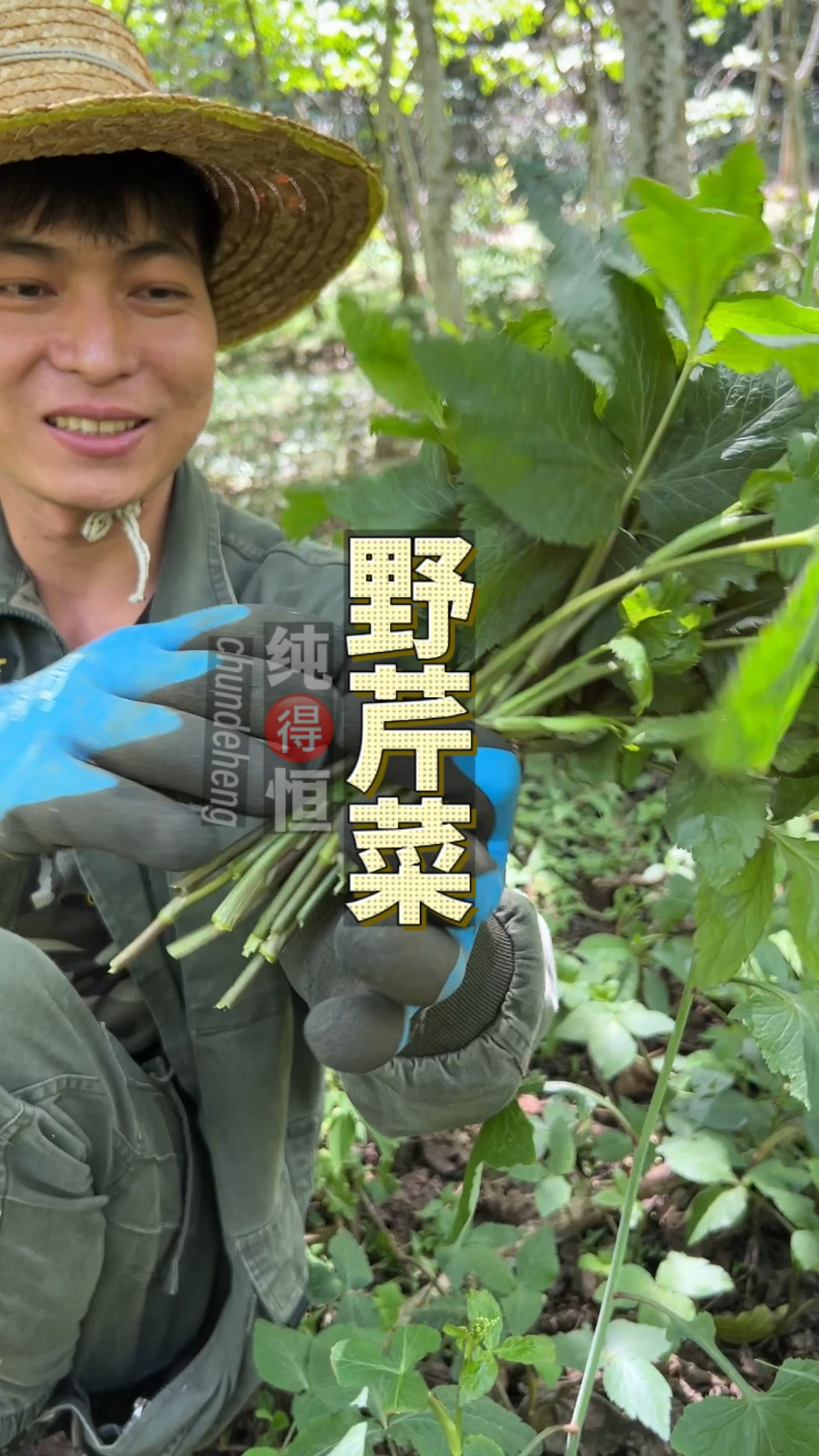 农村的生活很简单,日常吃的菜可以到山上摘一些野菜回来煮,你们家乡有这种野芹菜吗