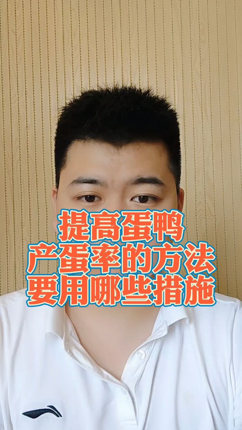 #提高蛋鸭产蛋率的方法蛋鸭怎么样提高产蛋量鸭子吃什么产蛋率最高让鸭子下蛋的小窍门