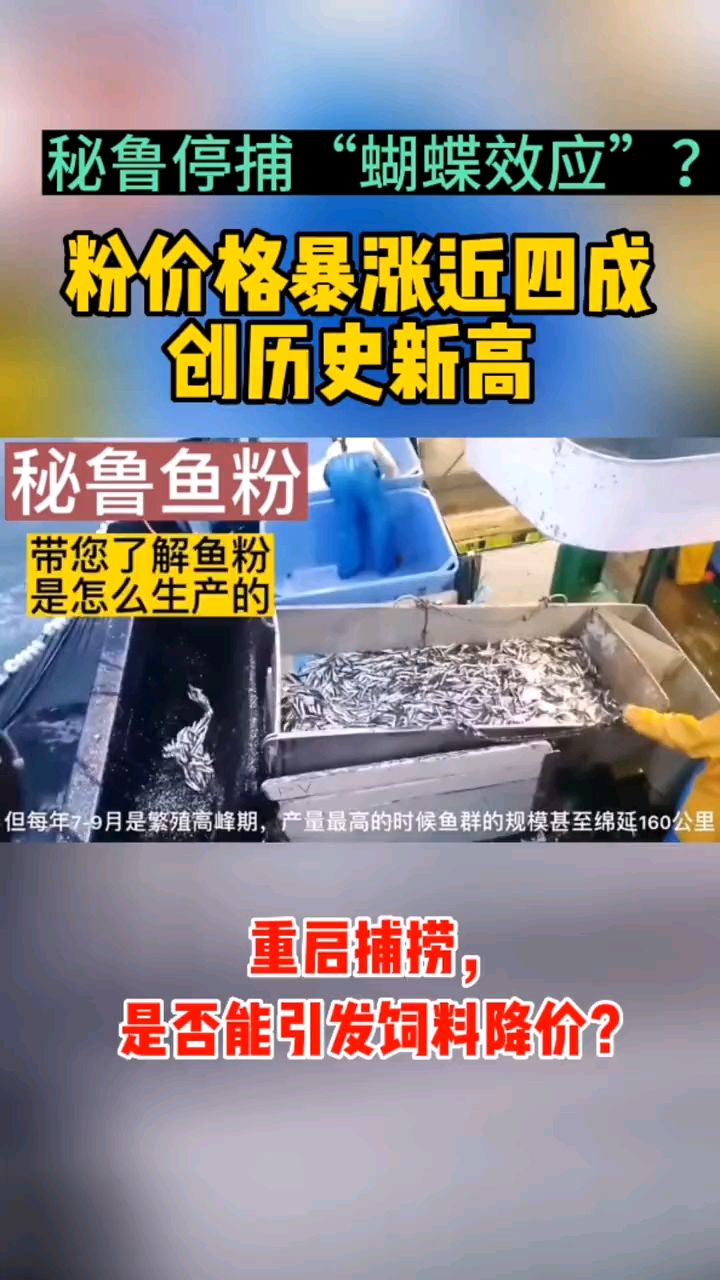 鱼粉上涨,饲料是不是也要涨啊