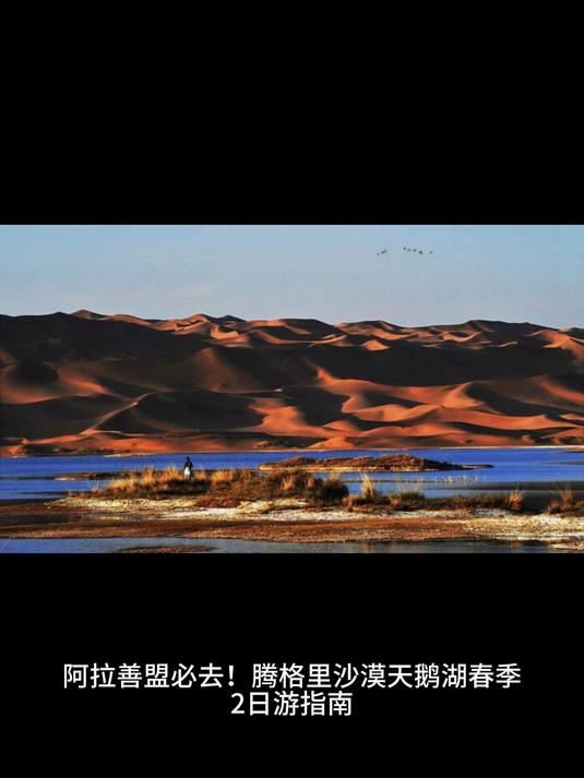 阿拉善盟必去!腾格里沙漠天鹅湖春季2日游指南