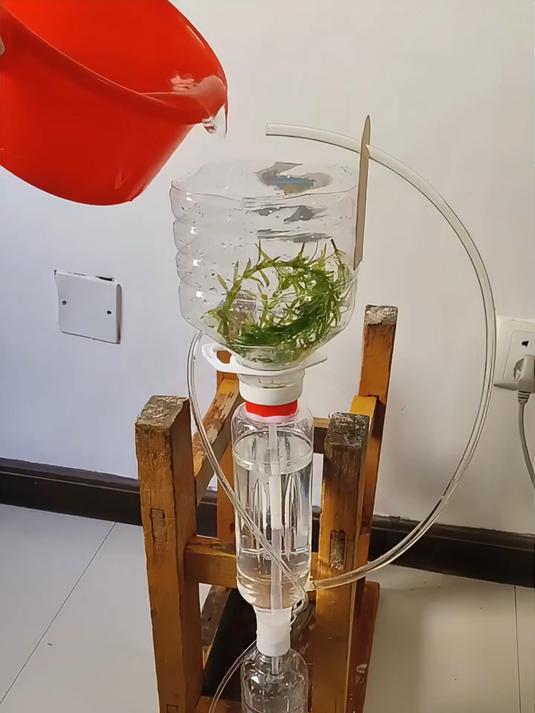 自制不用电的循环水鱼缸