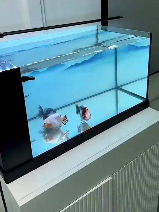 养鱼必备超静音氧气泵!彻朗来了,还你安静水域!