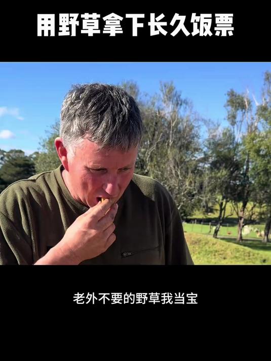 荠菜饺子拿捏了老外 漫山遍野的荠菜都是我了