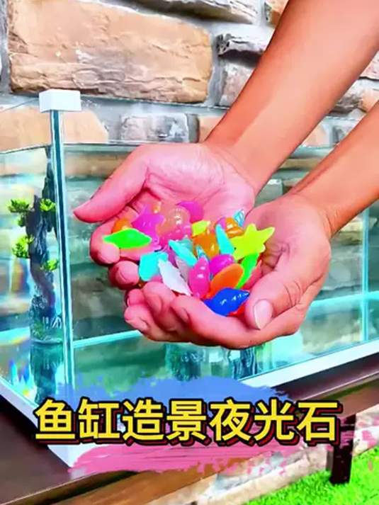 鱼缸放夜光石 鱼儿活跃不趴缸 打造完美空气缸