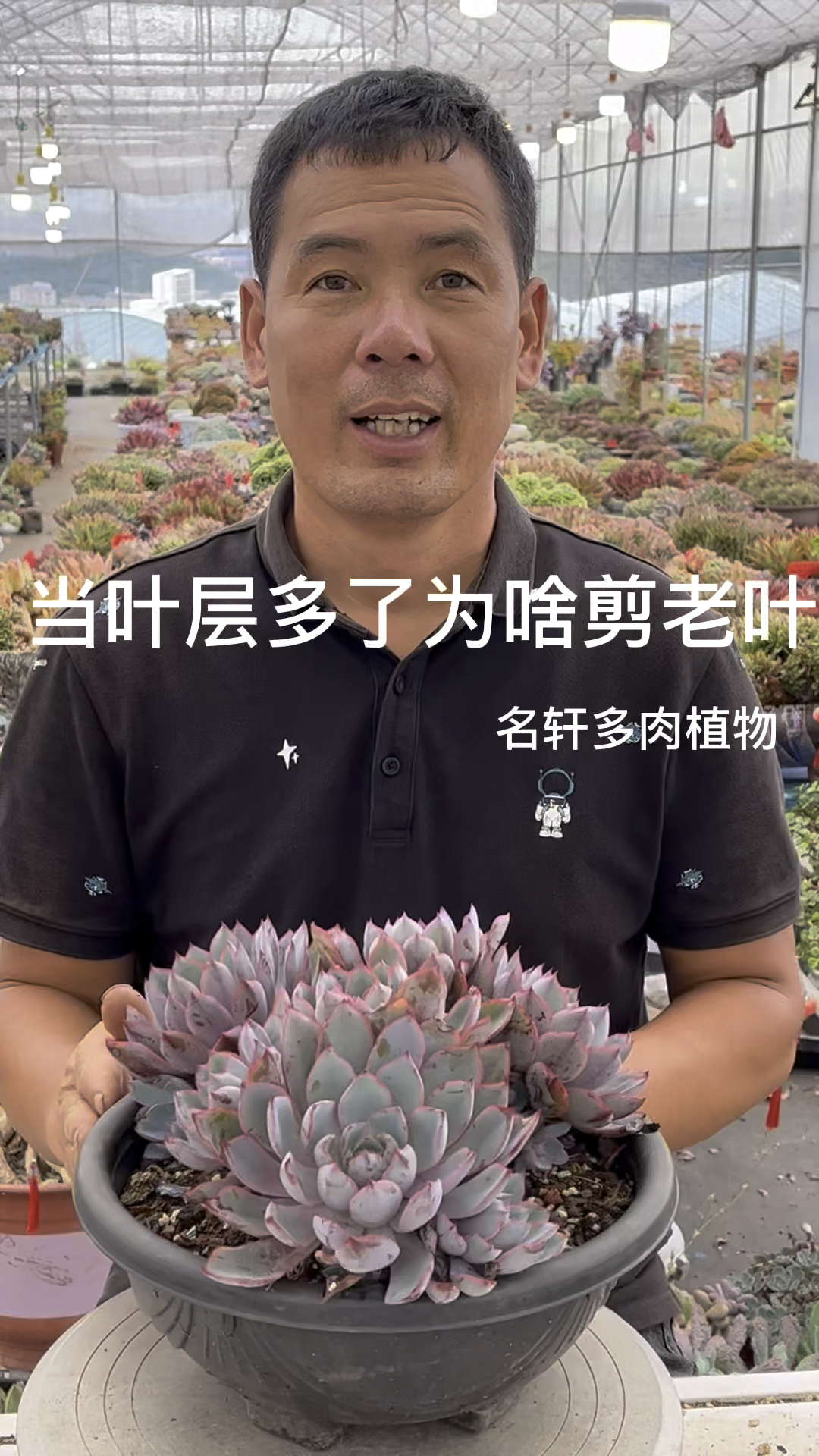 怎样让多肉出状态?