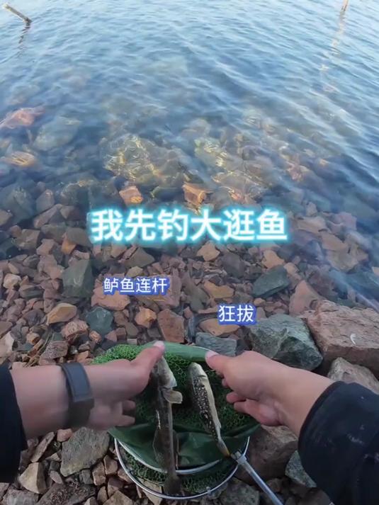 我只想喝个鱼汤!