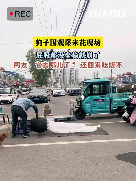 狗子围观爆米花现场，屁股都没坐稳就崩了