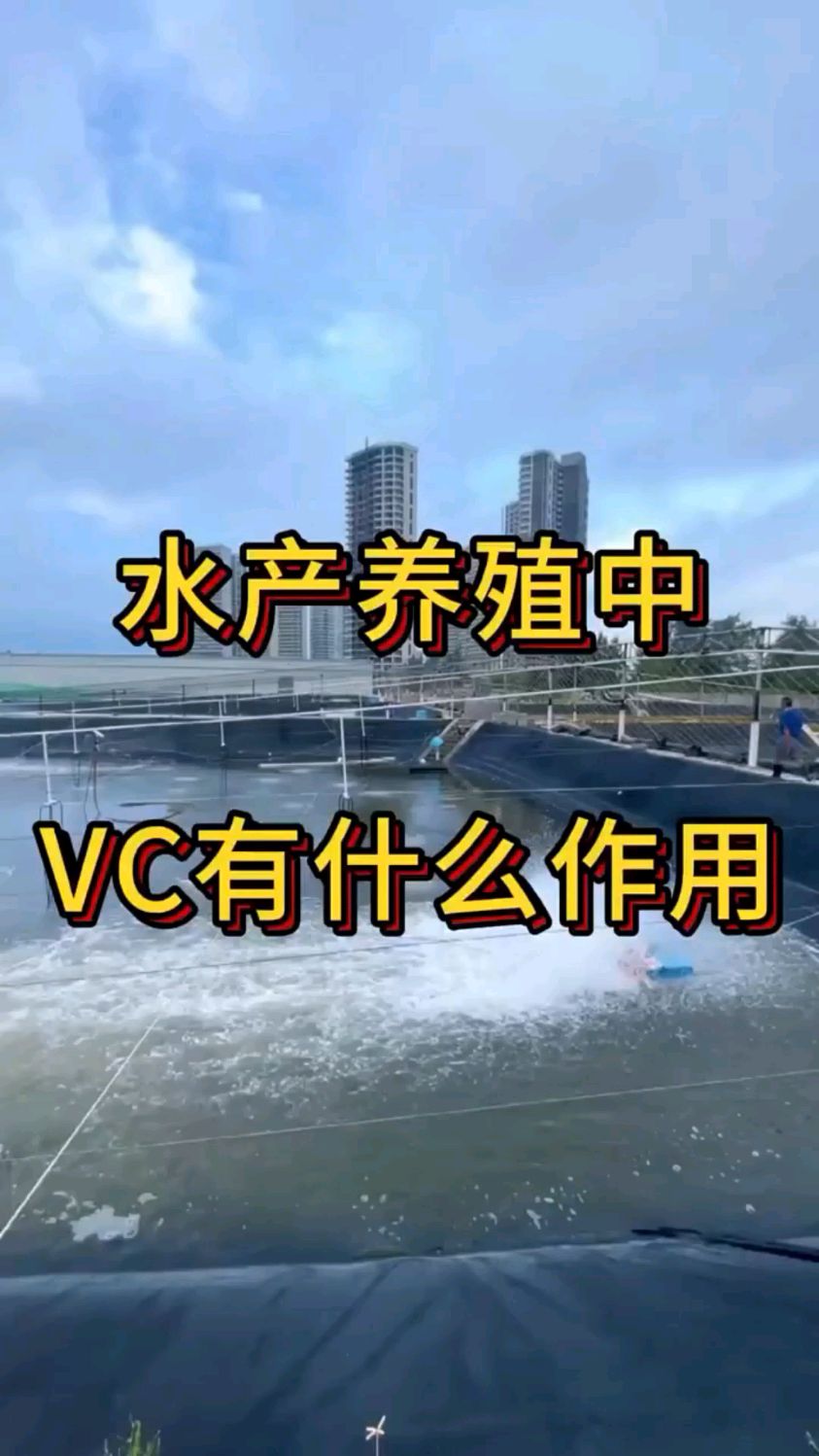 水产养殖中VC有什么作用