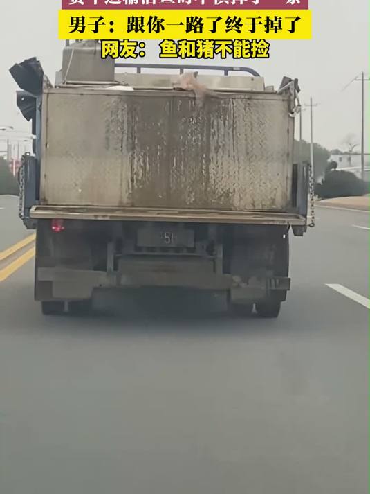 货车运输活鱼时不慎掉了一条,男子：跟你一路了终于掉了