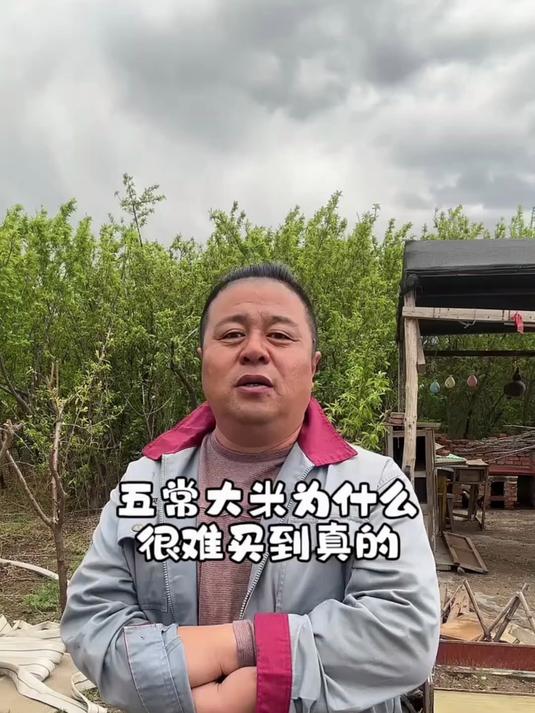 我家早餐离不开!五常大米熬粥,老人孩子都抢着喝