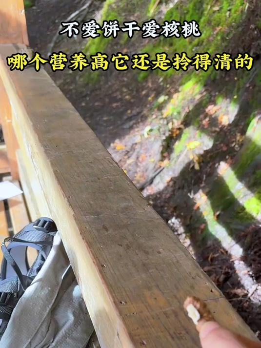 不爱饼干爱核桃,哪个营养高它还是拎得清的