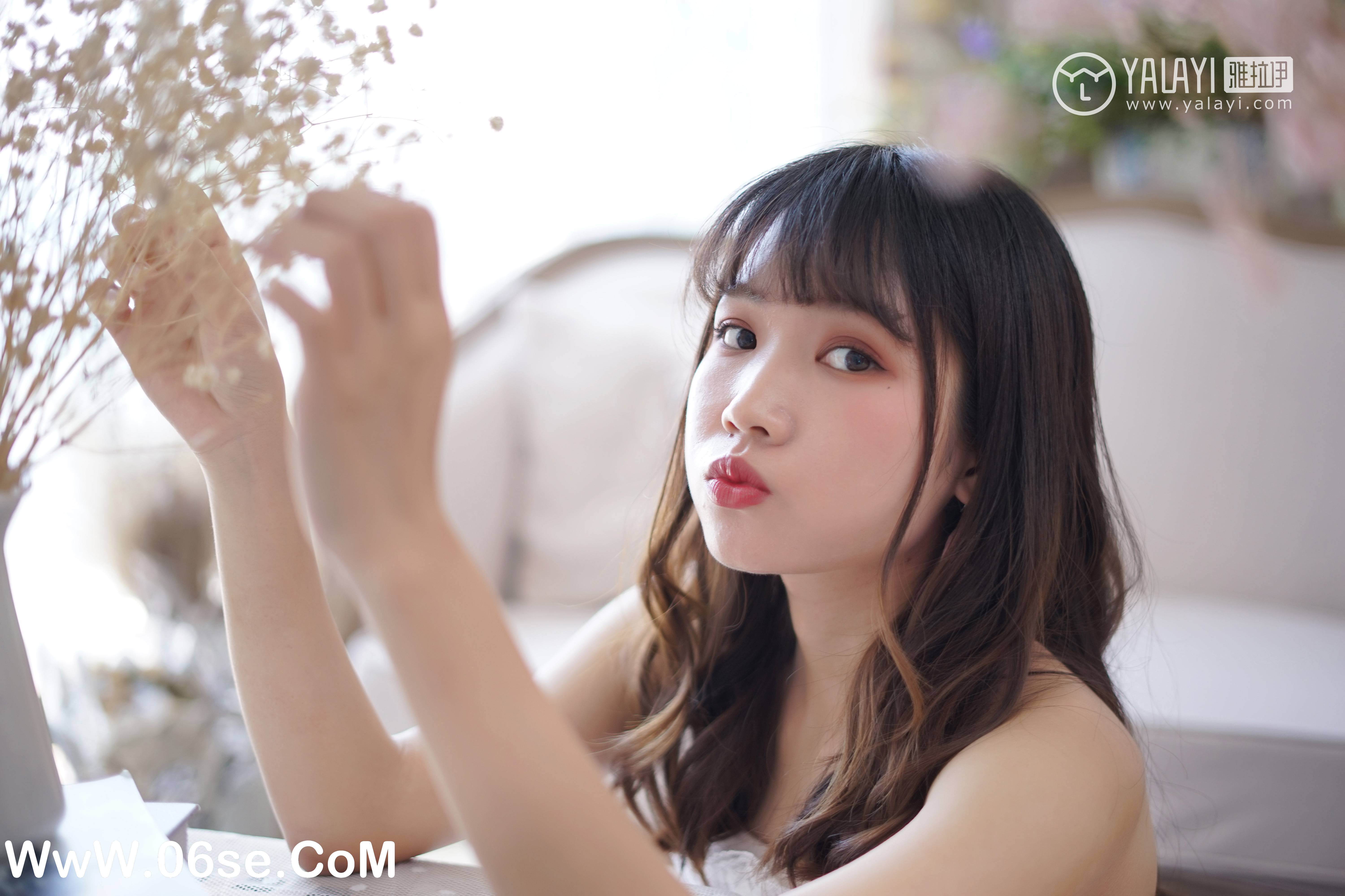 图片[24]-[YALAYI雅拉伊] NO.003 小公主的薄纱裙 公主小兔子-六色网