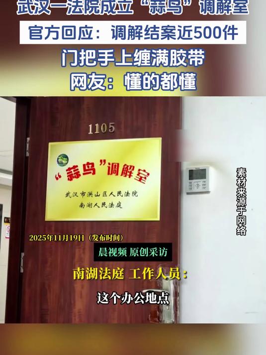 武汉一法院成立“蒜鸟”调解室,官方回应:调解结案近500件
