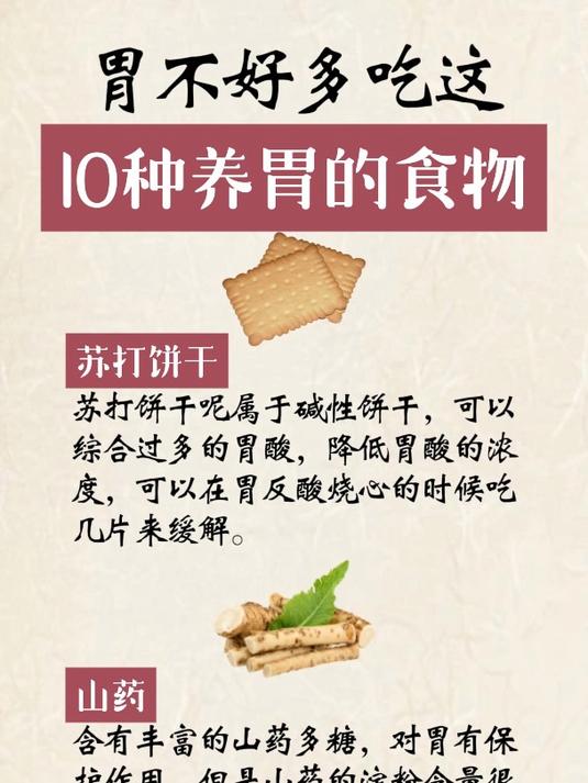 胃不好多吃这10种养胃的食物