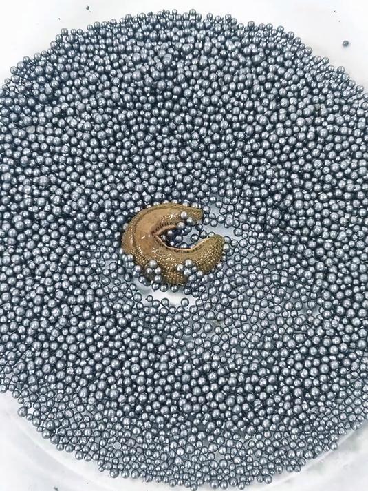 当顽强的水蛭遇见干燥剂会发生什么有趣的事情呢？