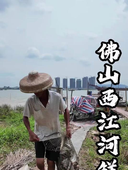 用200块在佛山吃西江河鲜