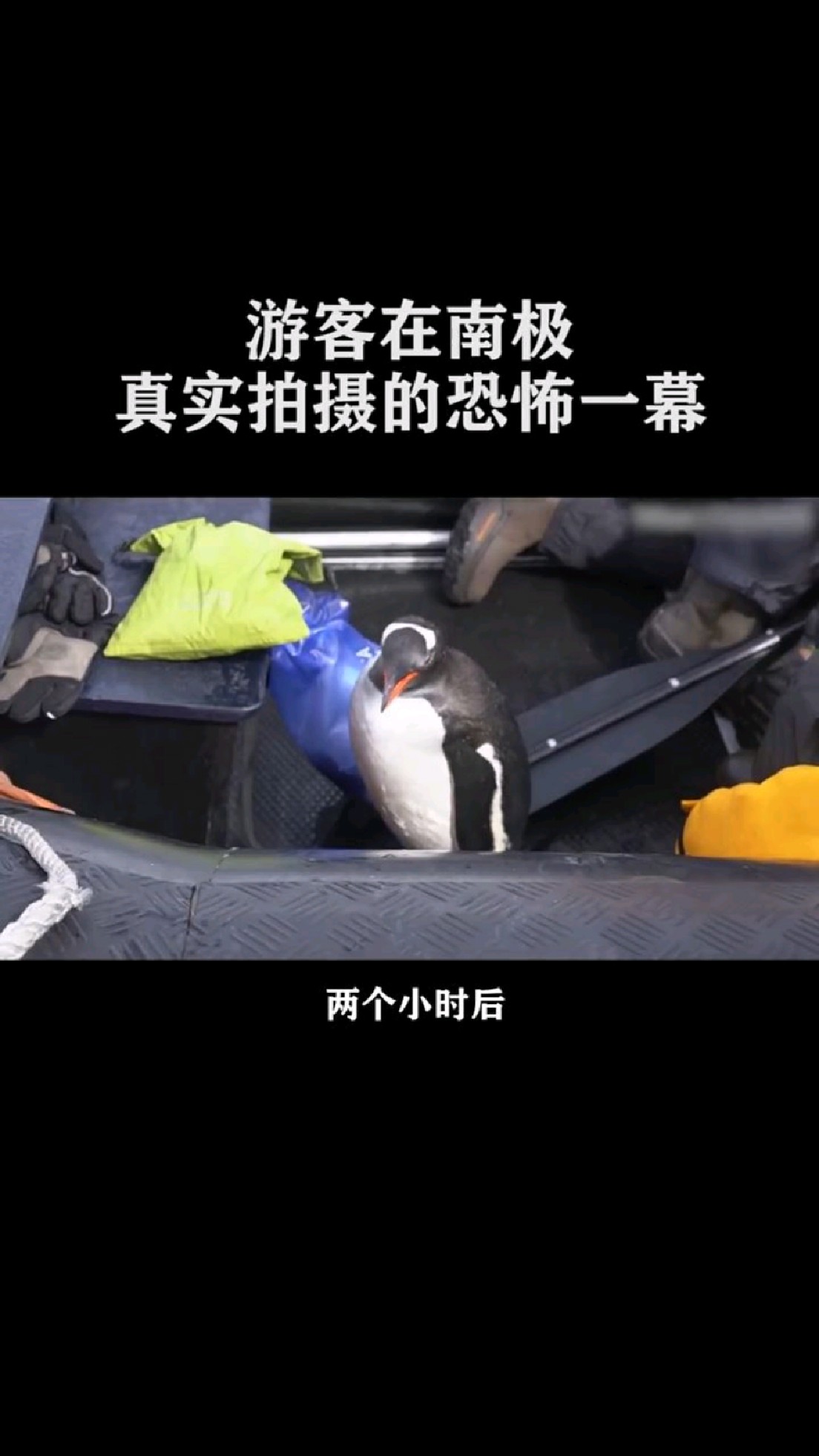 小企鹅极限逃生