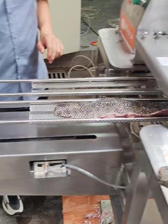 斜切黑鱼片巴沙鱼片用什么机器 全自动气动双仓斜切鱼片机