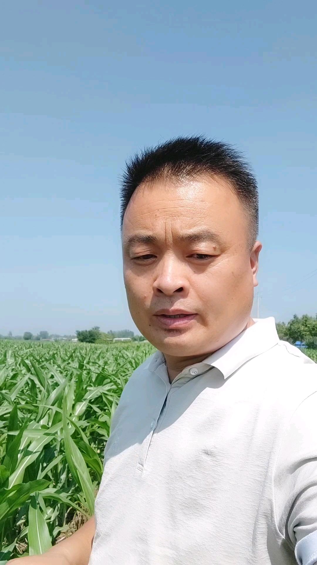 玉米螟和玉米顶腐病该怎样防治?
