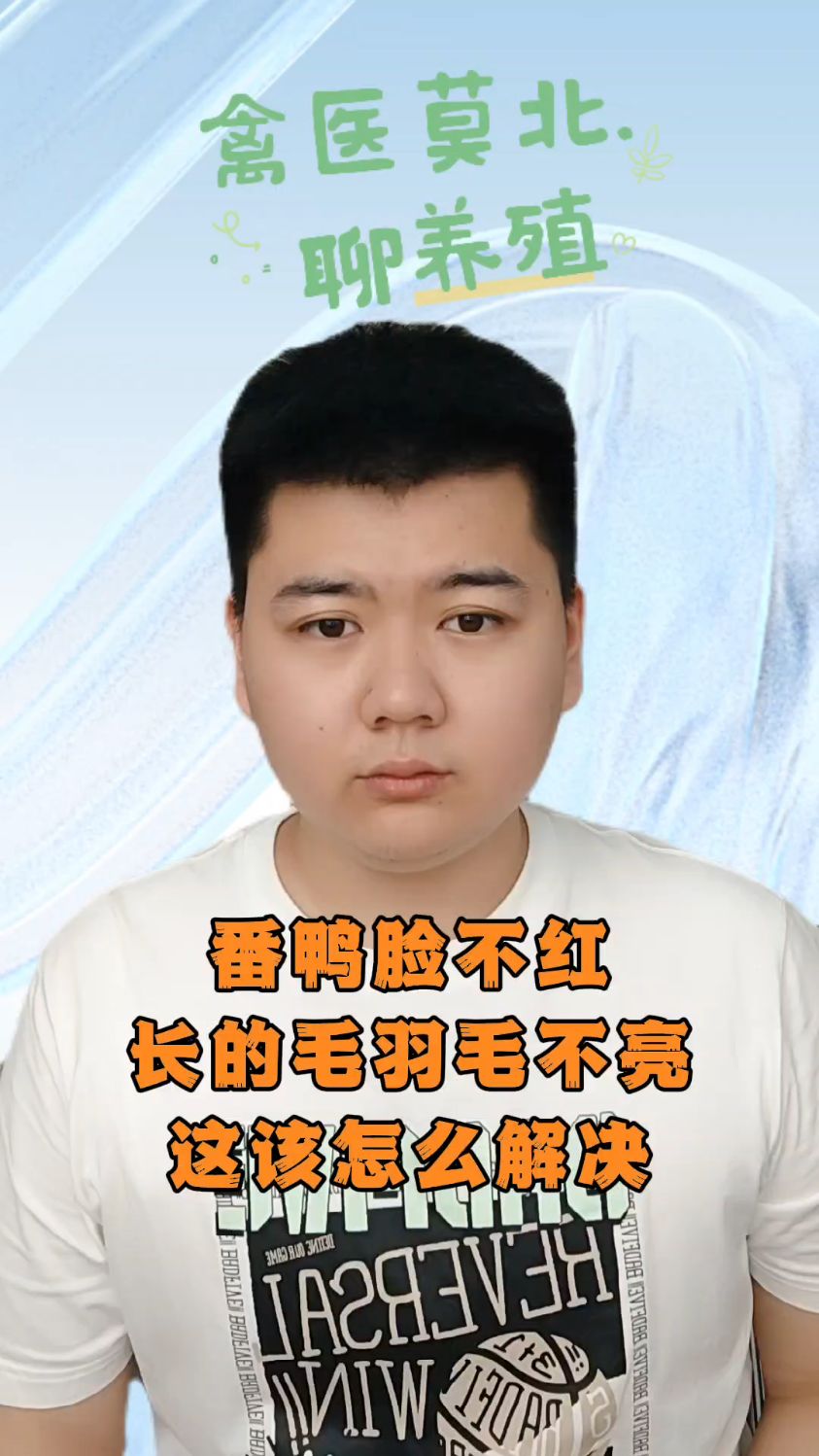 #怎样可以让番鸭脸红得快番鸭吃什么才能把脸变红番鸭吃什么脸更红番鸭脸不红什么原因