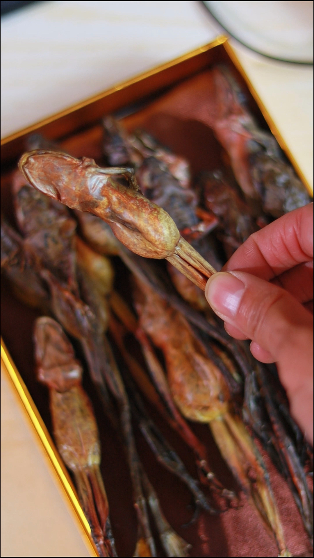 冰糖大枣枸杞莲子百合炖雪蛤,名不虚传的长白山软黄金