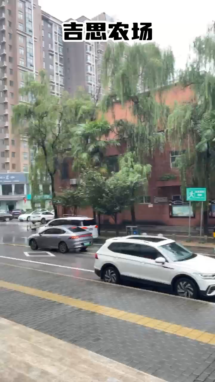 吉思农场五好跑山鸡
