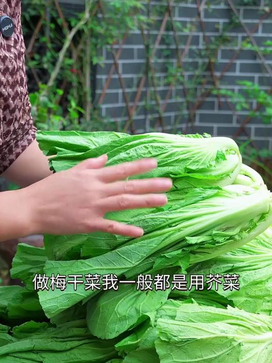 绍兴风味梅干菜,拌饭拌面都好吃