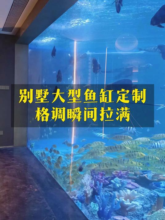 别墅大型鱼缸，三个观赏面，视觉效果拉满