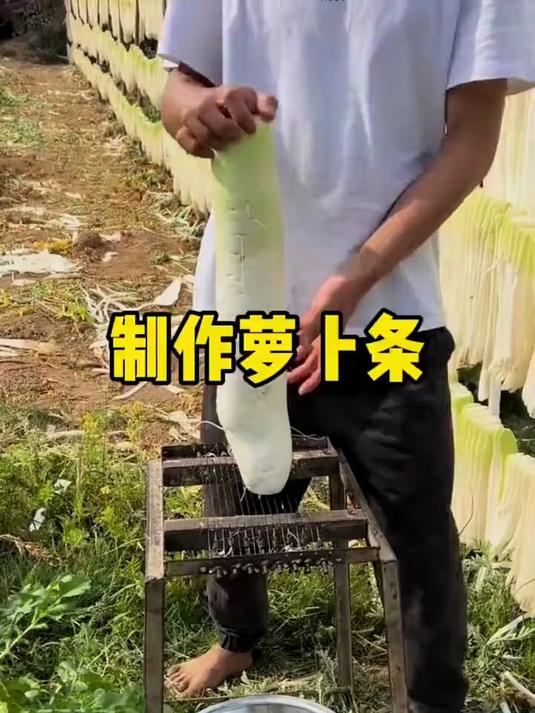 这就是天然制作的萝卜干过程，全程自然风干，保留原汁原味