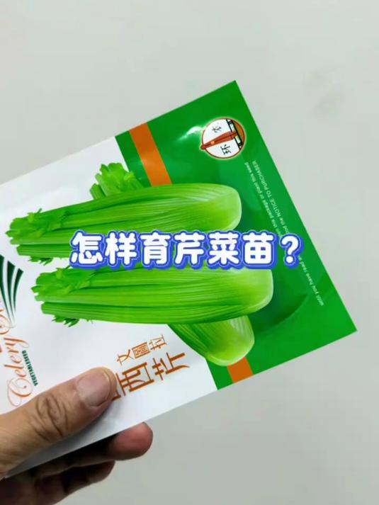 哈哈哈怎样育芹菜苗?