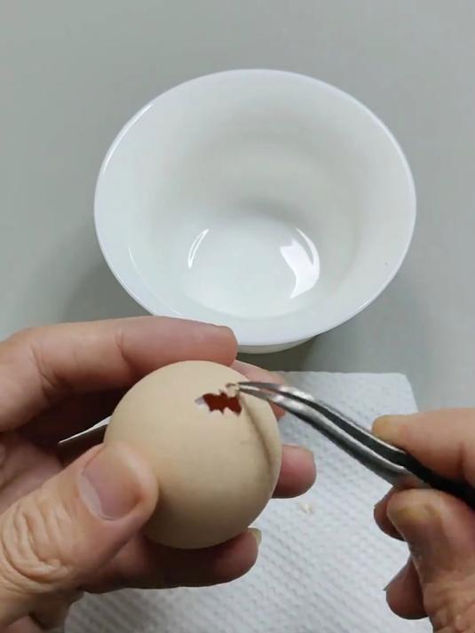 创意手工，用鸡蛋壳做一个不到翁，快来试试吧