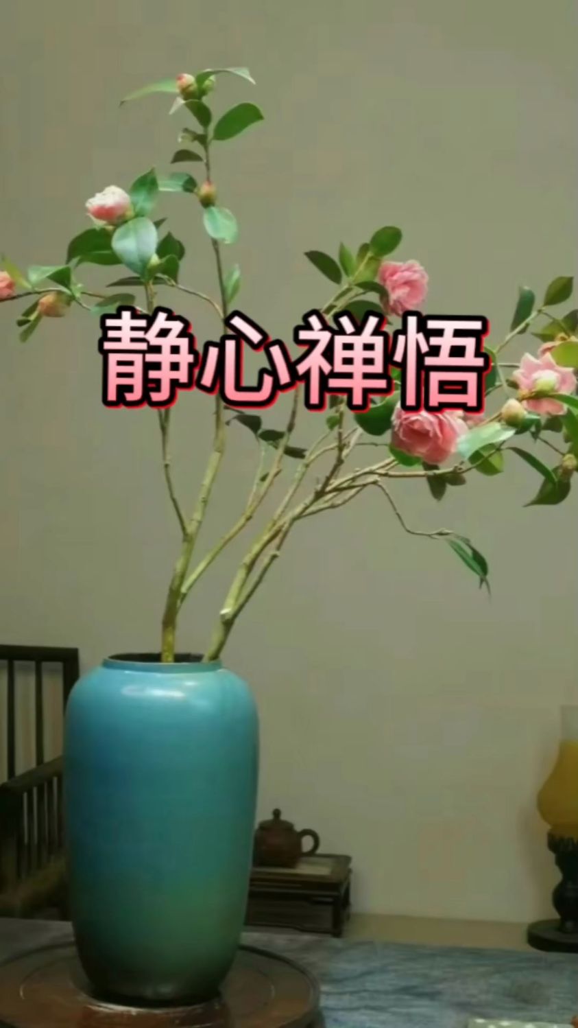 静心禅悟人生语录