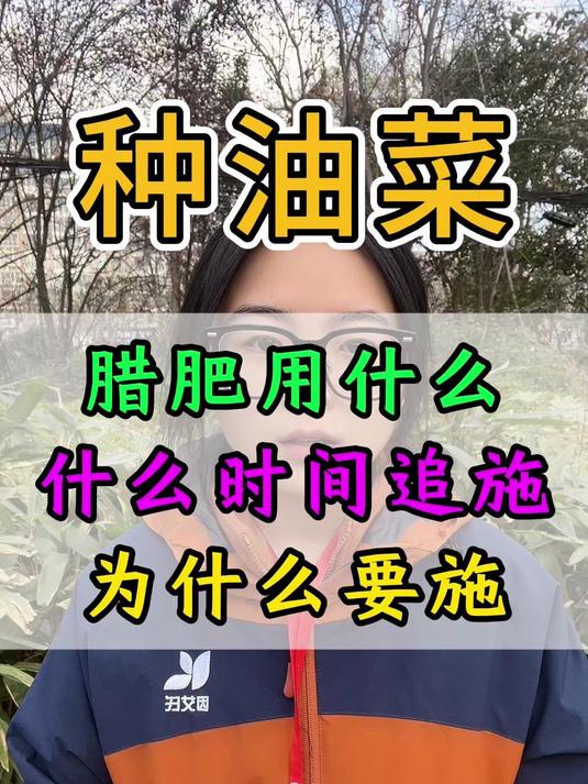 油菜腊肥用什么,什么时间用,为什么要用