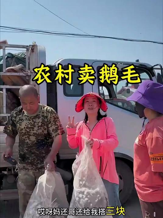 可不只是东北铁锅炖大鹅好吃啊 就这鹅毛也是这能能卖上价