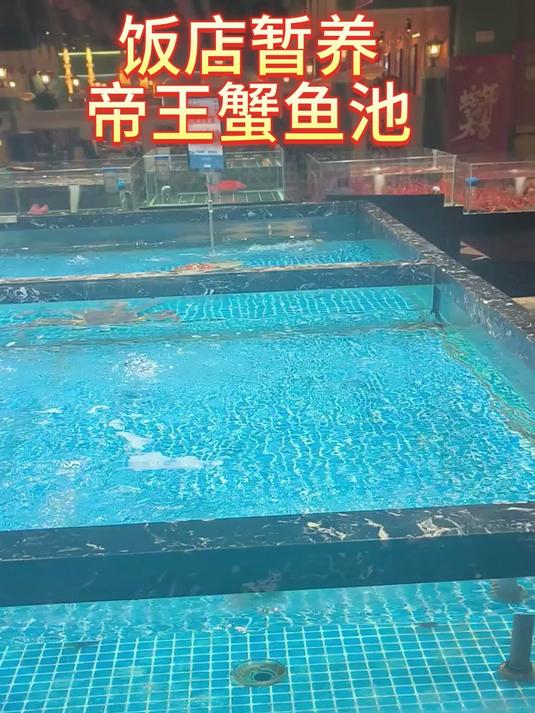 饭店帝王蟹鱼缸 酒店海鲜池 明档大排档海鲜池定制安装海鲜池设计