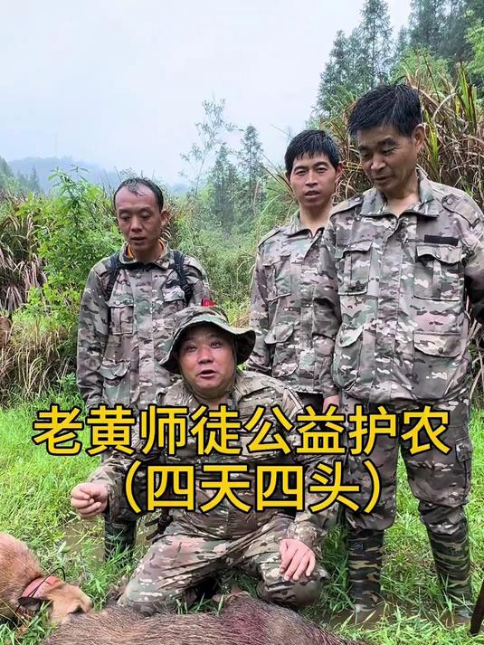 有一伙佩奇破坏农民油菜，我们护农队冒着大雨进行驱赶，四天四头