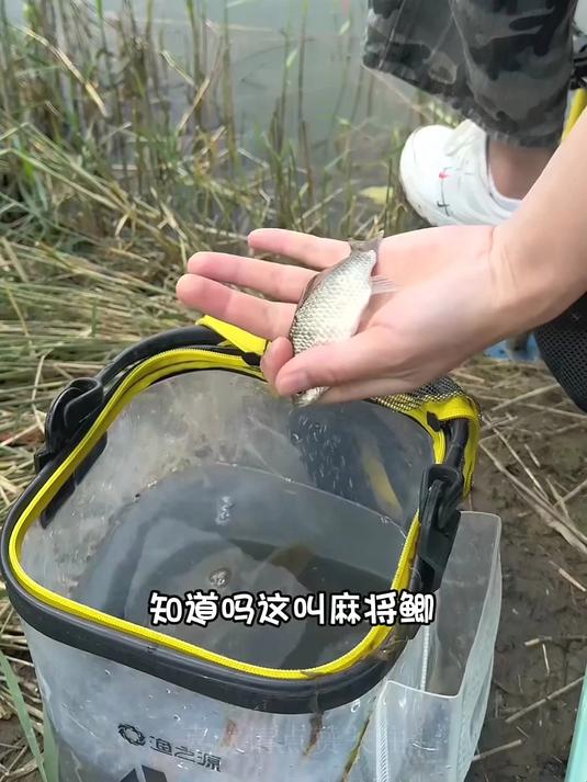 钓鱼两年 肌肉都练出来了