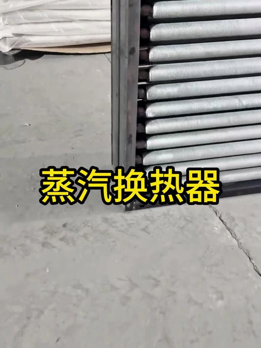 蒸汽换热器